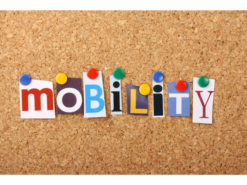 Contoh Mobilitas Sosial Dalam Masyarakat